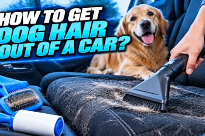 How to Get Dog Hair Out of a Car That Actually Works